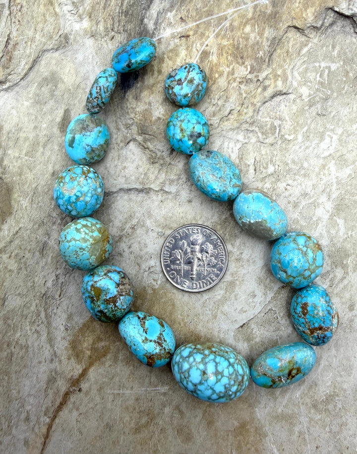 RARE Number 8 Turquoise (Nevada) Graduated Rounded Nugget