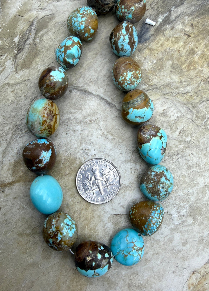 RARE Number 8 Turquoise (Nevada) Graduated Rounded Nugget