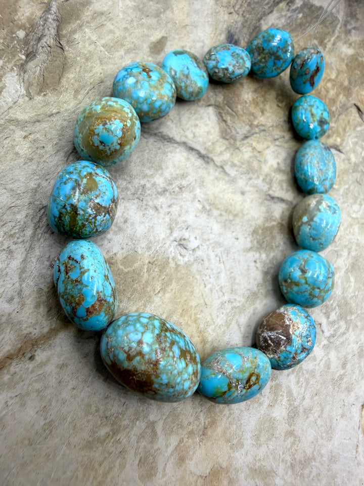 RARE Number 8 Turquoise (Nevada) Graduated Rounded Nugget