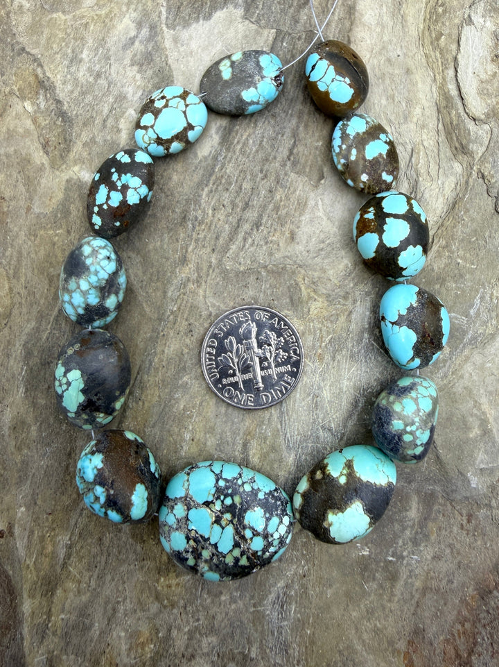 RARE Number 8 Turquoise (Nevada) Graduated Rounded Nugget