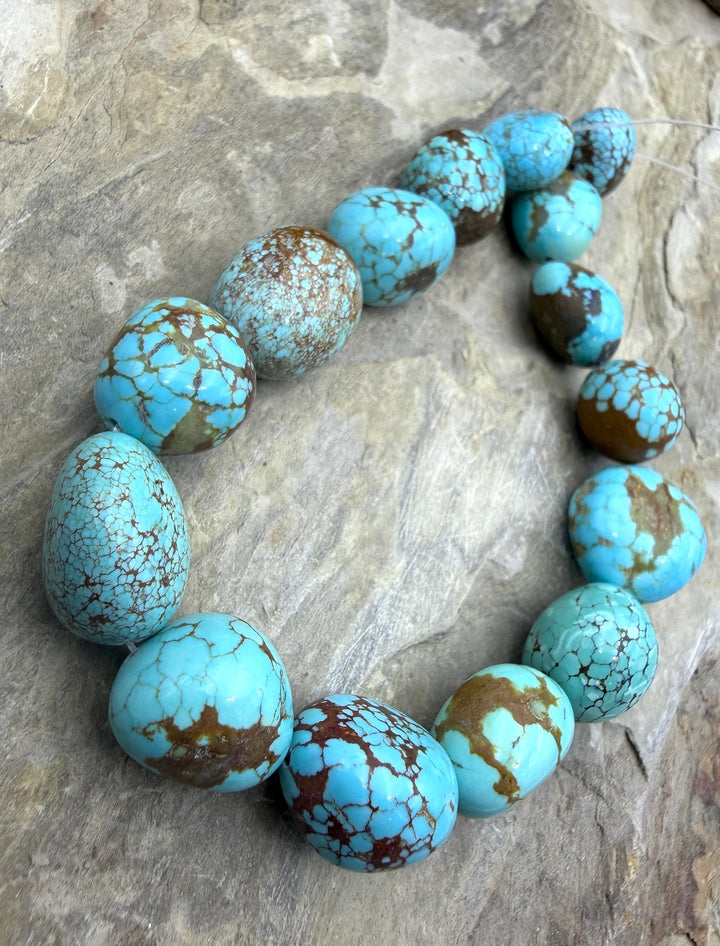RARE Number 8 Turquoise (Nevada) Graduated Rounded Nugget