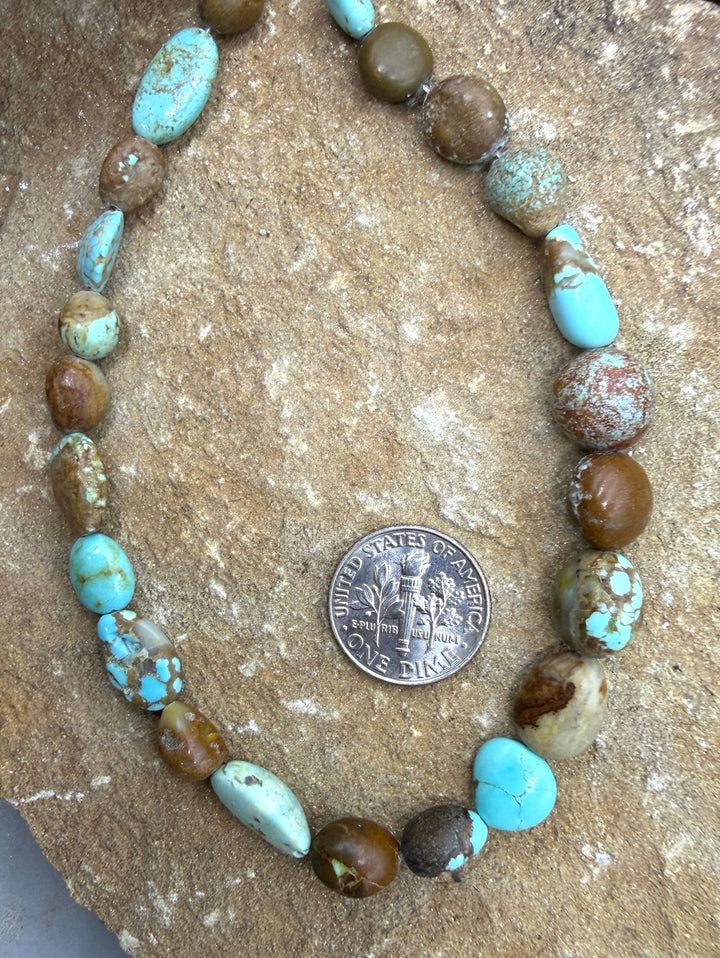 RARE Number 8 Turquoise (Nevada) Graduated Rounded Nugget