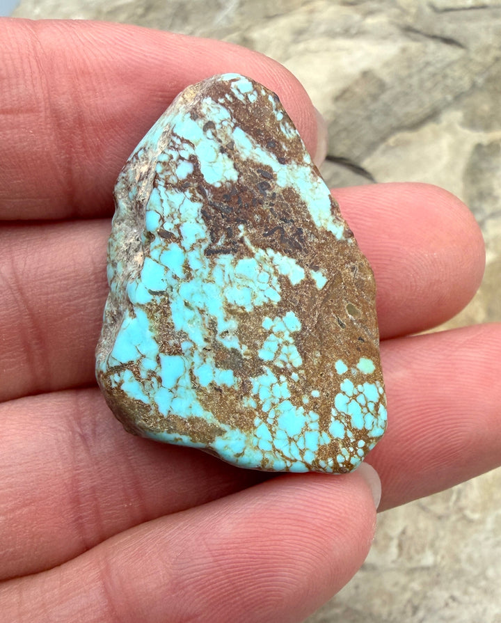 RARE Number 8 Turquoise (Nevada) Slab Beads (Large Hole)
