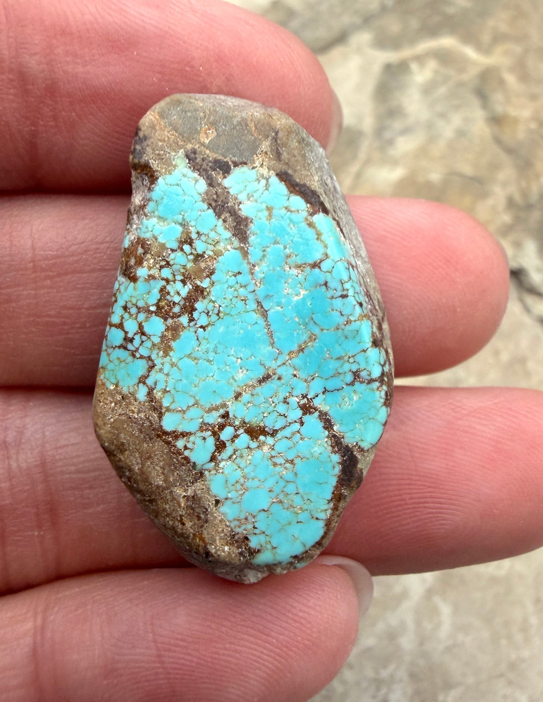 RARE Number 8 Turquoise (Nevada) Slab Beads (Large Hole)