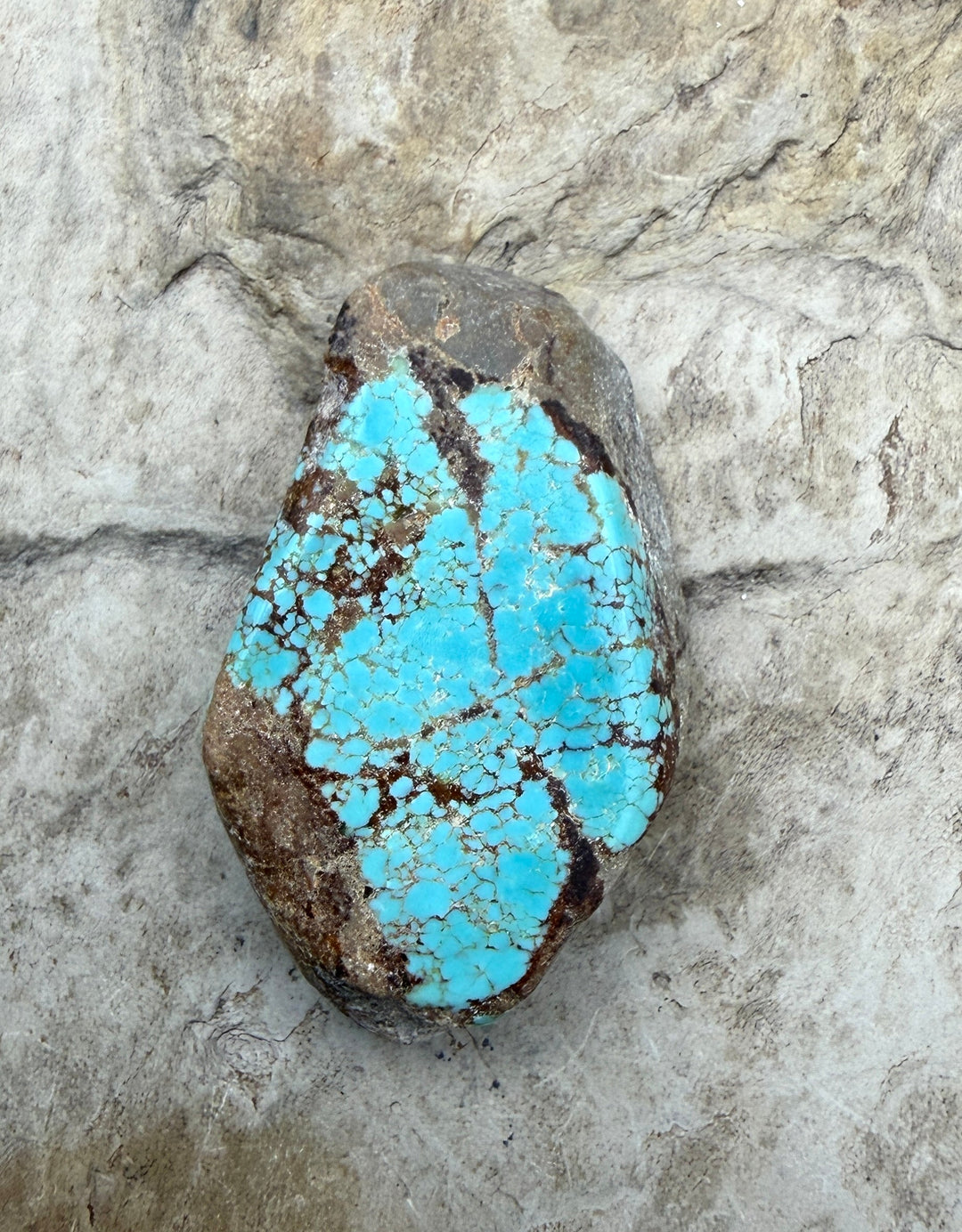 RARE Number 8 Turquoise (Nevada) Slab Beads (Large Hole)