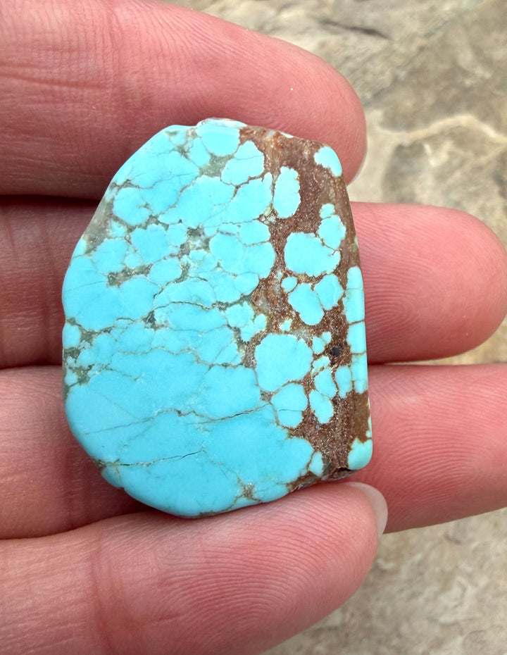RARE Number 8 Turquoise (Nevada) Slab Beads (Large Hole)