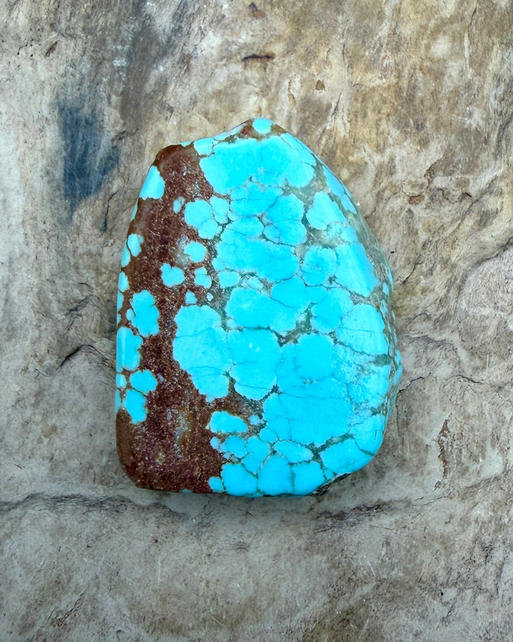 RARE Number 8 Turquoise (Nevada) Slab Beads (Large Hole)