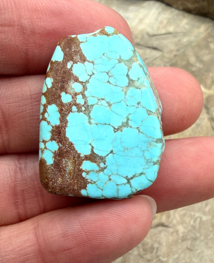 RARE Number 8 Turquoise (Nevada) Slab Beads (Large Hole)