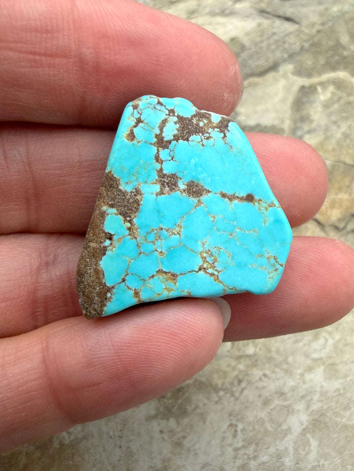 RARE Number 8 Turquoise (Nevada) Slab Beads (Large Hole)