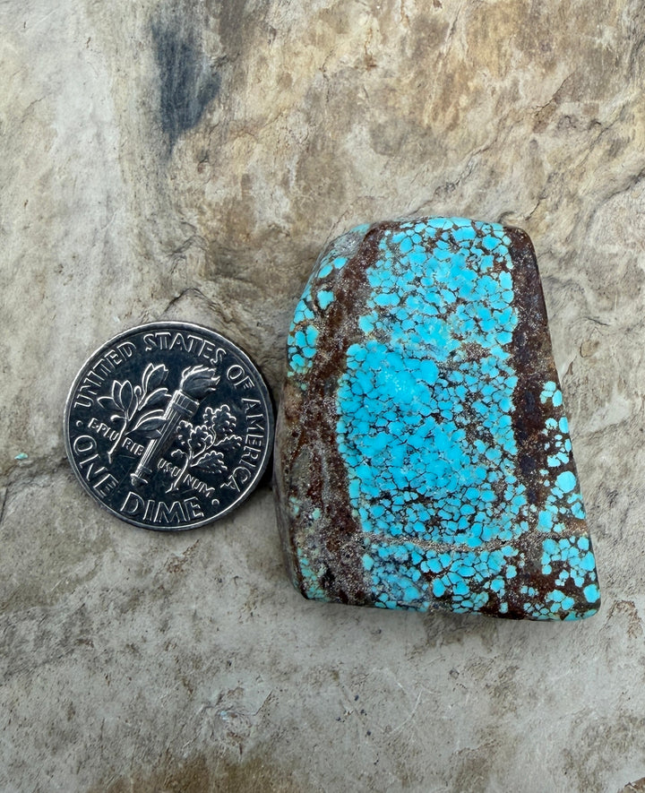RARE Number 8 Turquoise (Nevada) Slab Beads (Large Hole)