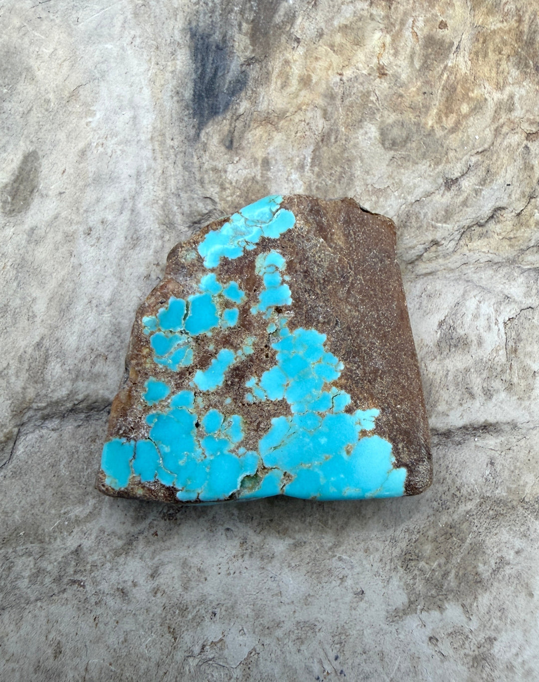 RARE Number 8 Turquoise (Nevada) Slab Beads (Large Hole)