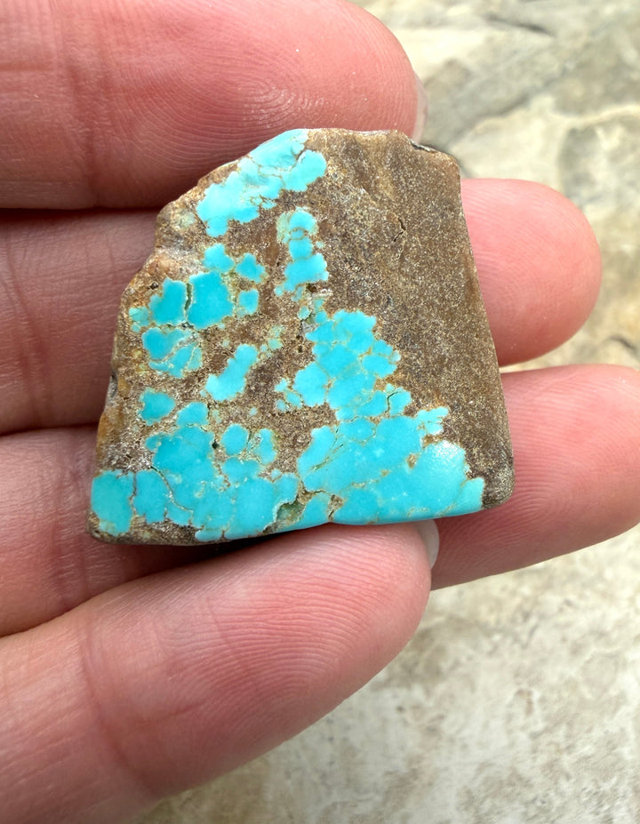 RARE Number 8 Turquoise (Nevada) Slab Beads (Large Hole)