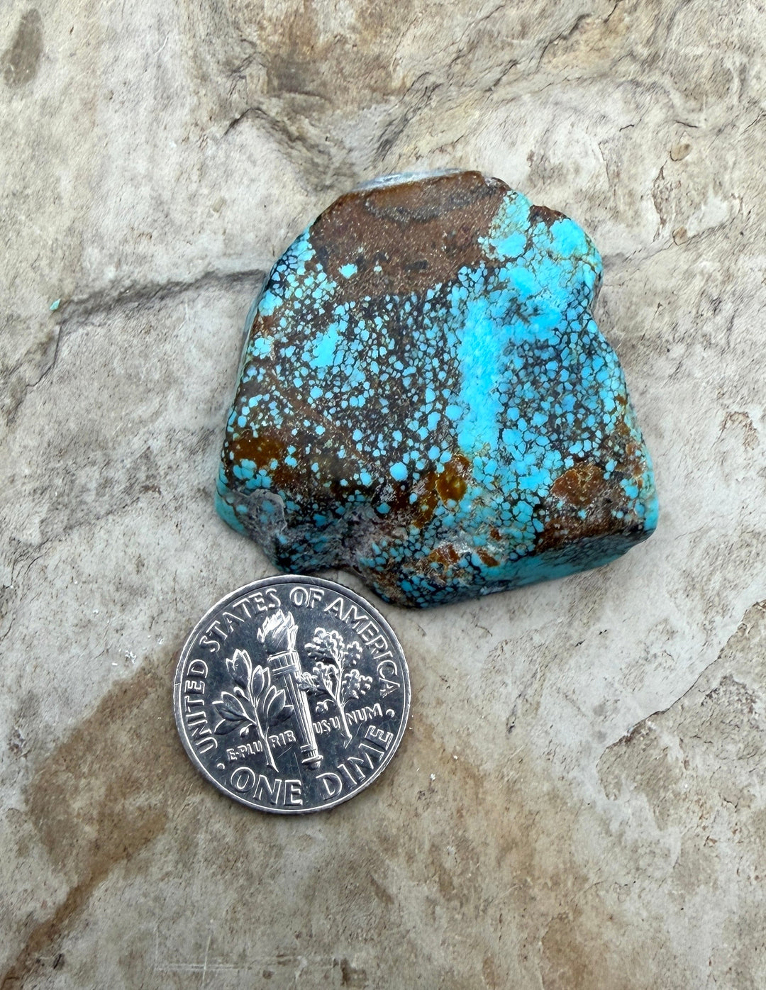 RARE Number 8 Turquoise (Nevada) Slab Beads (Large Hole)