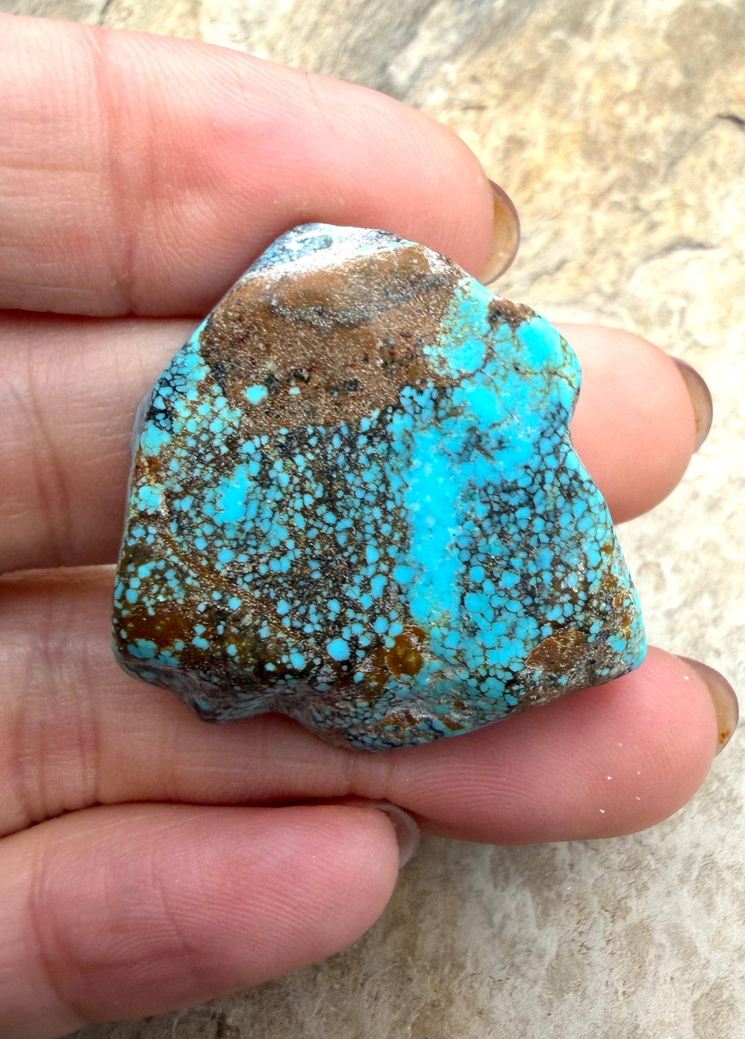 RARE Number 8 Turquoise (Nevada) Slab Beads (Large Hole)