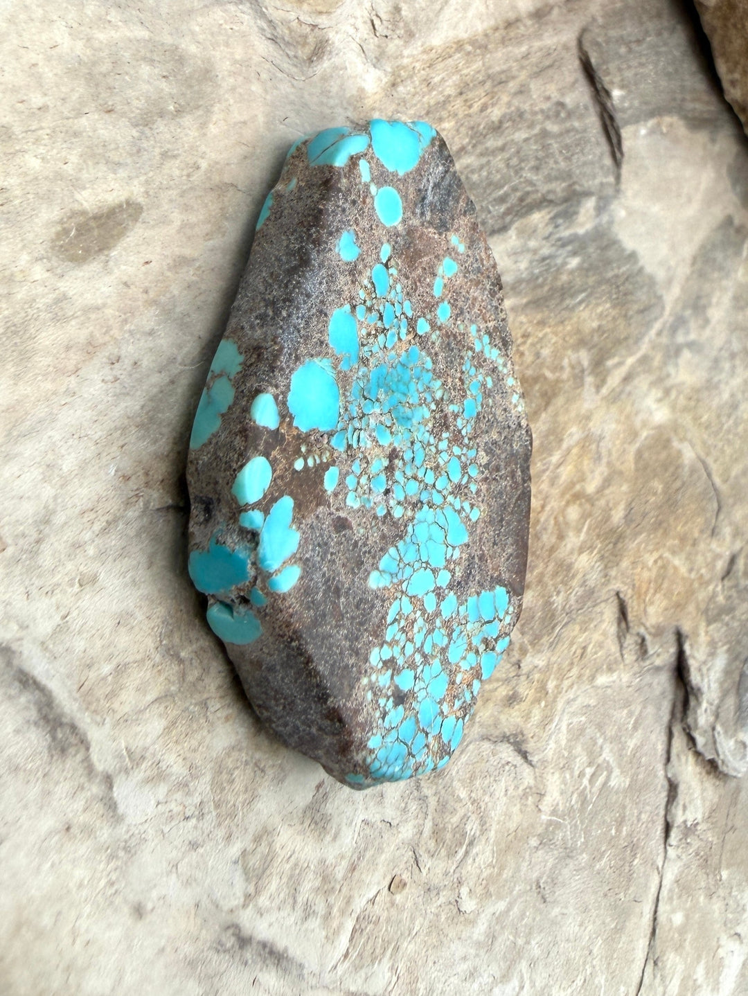 RARE Number 8 Turquoise (Nevada) Slab Beads (Large Hole)
