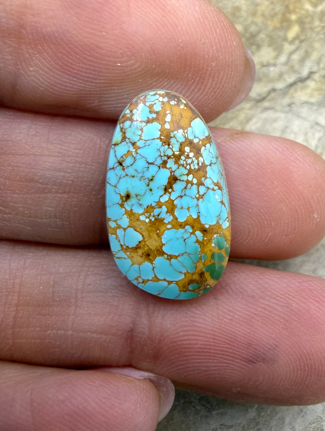 RARE Number 8 Turquoise (Nevada) Small Freeform Cabochon