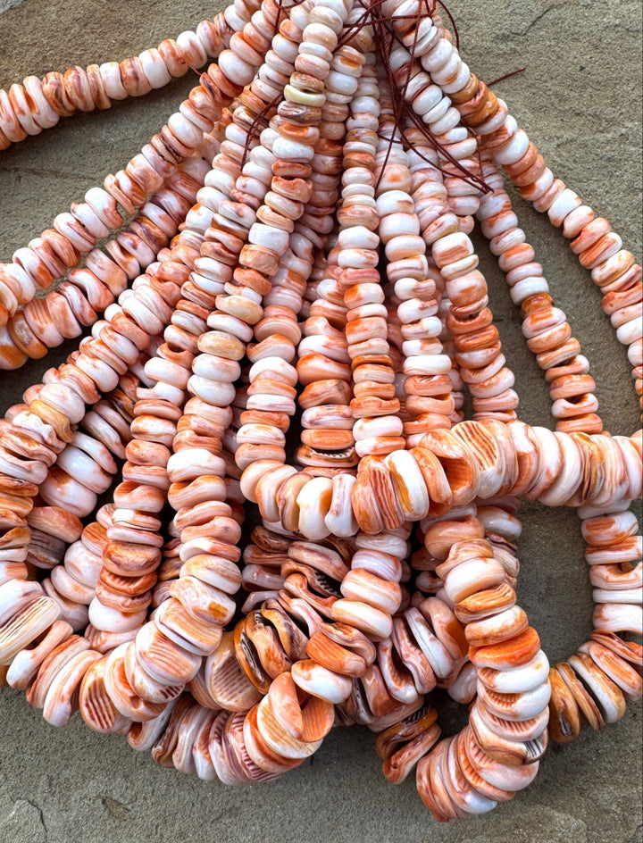 RARE Orange Lions Paw BIG Graduated 8 18mm Irregular