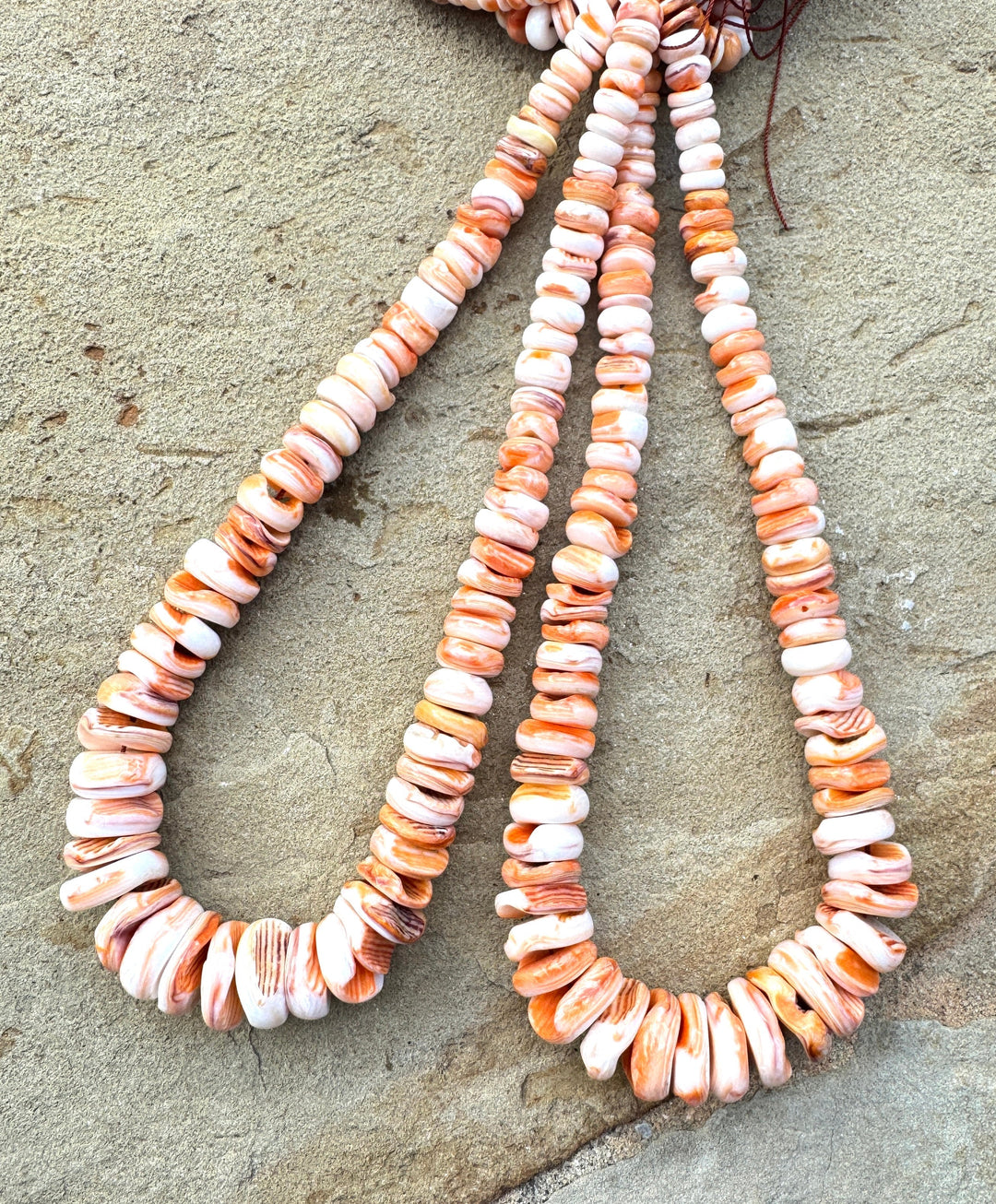 RARE Orange Lions Paw BIG Graduated 8 18mm Irregular