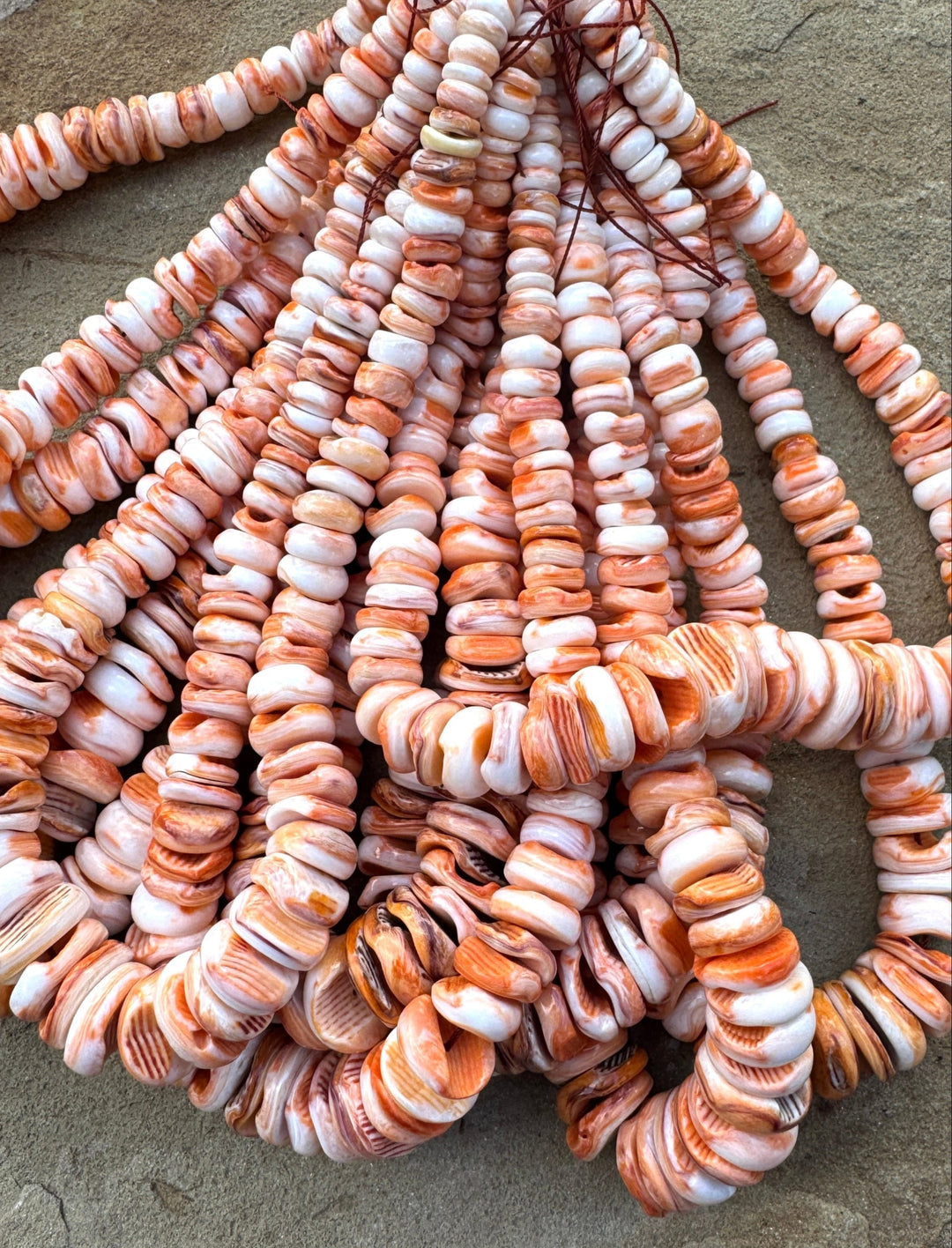 RARE Orange Lions Paw BIG Graduated 8-18mm Irregular