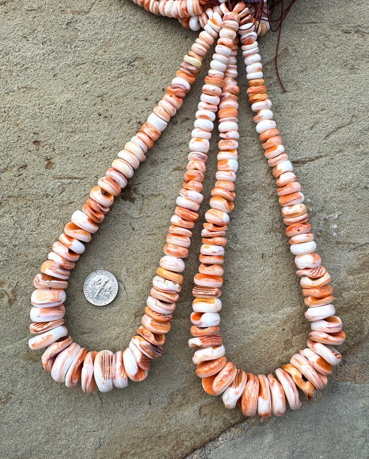 RARE Orange Lions Paw BIG Graduated 8 18mm Irregular