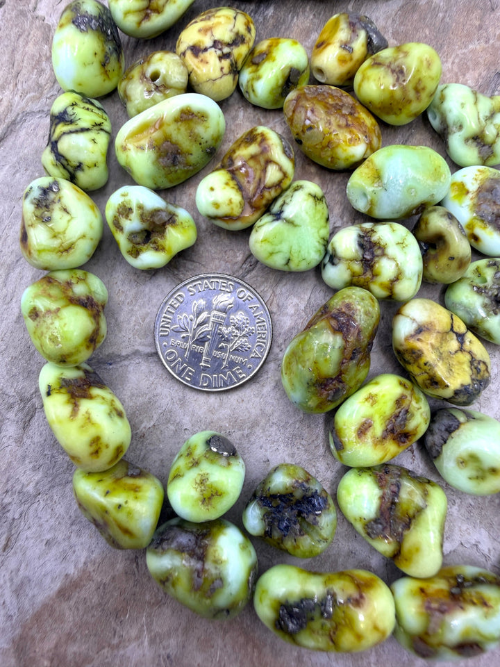 RARE Palomino Variscite 10mm-10x15mm Nugget Beads Package
