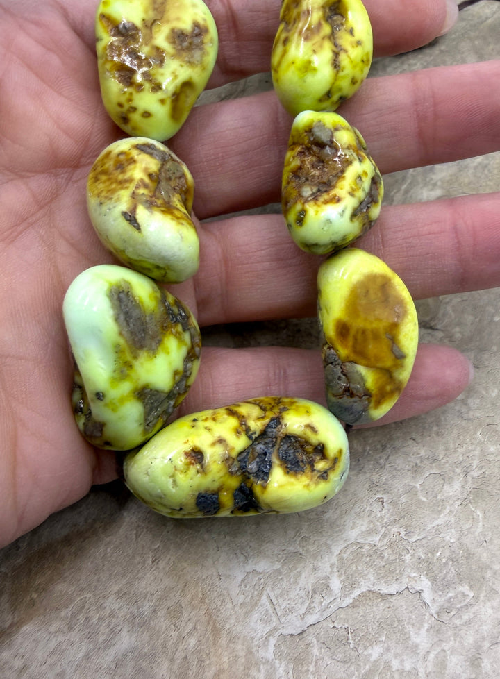 RARE Palomino Variscite HUGE Graduated Nugget Strand