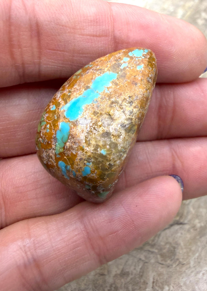 RARE Royston Turquoise (NV) BIG Large Hole Focal Pendant