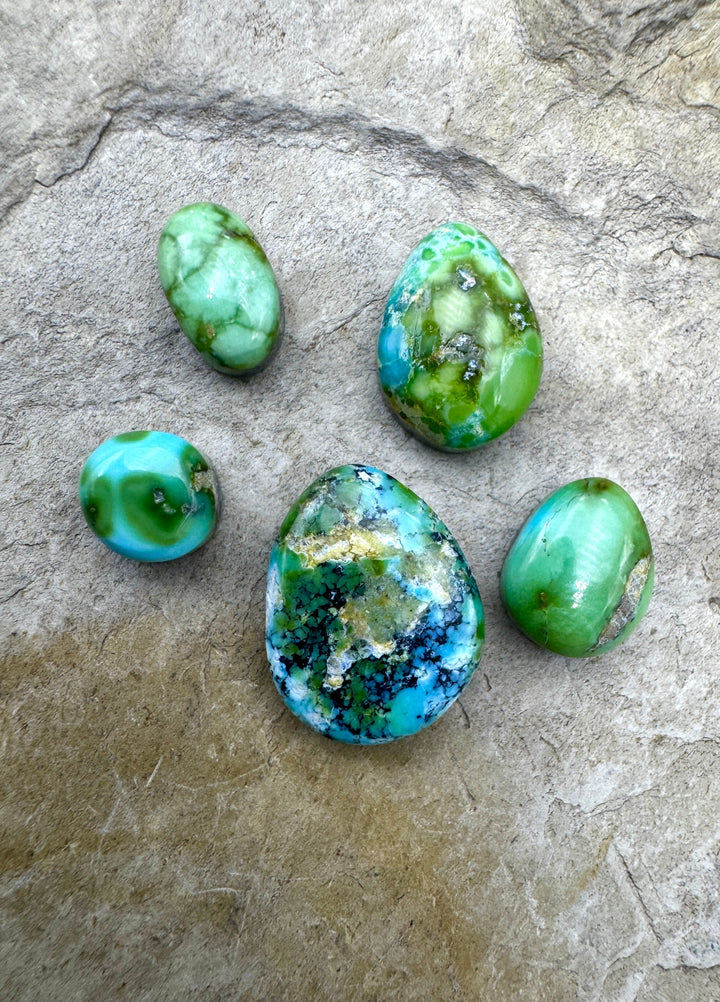 RARE Sonoran Gold Turquoise (Mex) LOT of 5 Mini Cabochons