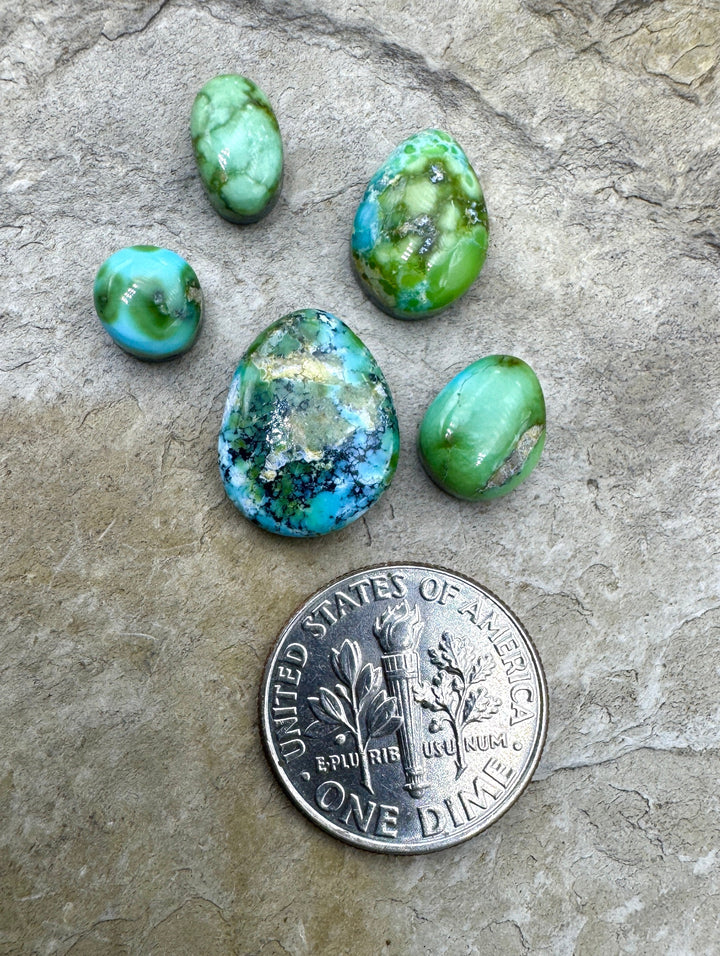 RARE Sonoran Gold Turquoise (Mex) LOT of 5 Mini Cabochons