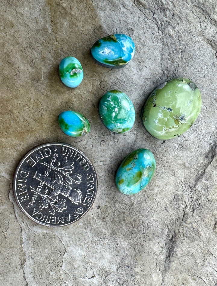 RARE Sonoran Gold Turquoise (Mex) LOT of 6 Mini Cabochons