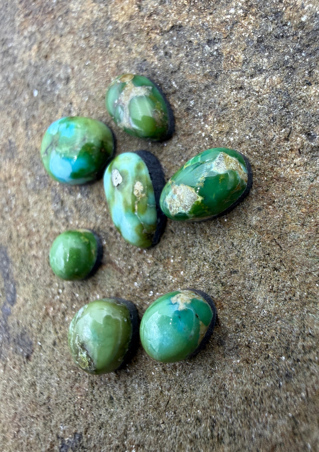 RARE Sonoran Gold Turquoise (Mex) LOT of 7 Mini Cabochons