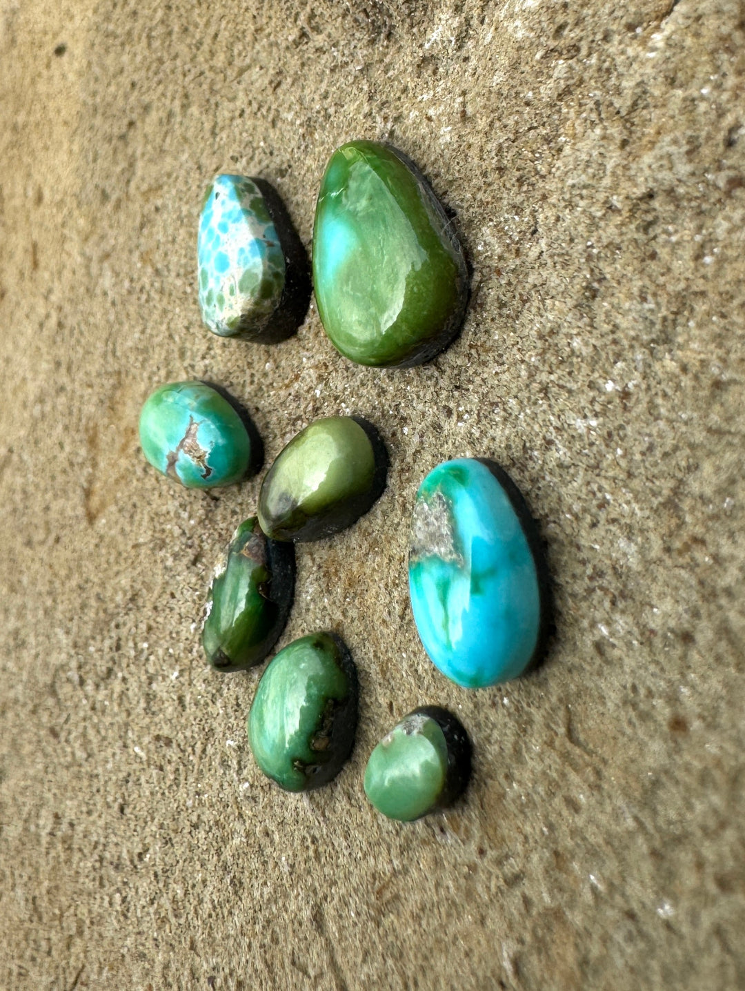 RARE Sonoran Gold Turquoise (Mex) LOT of 8 Mini Cabochons