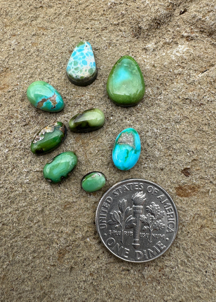 RARE Sonoran Gold Turquoise (Mex) LOT of 8 Mini Cabochons