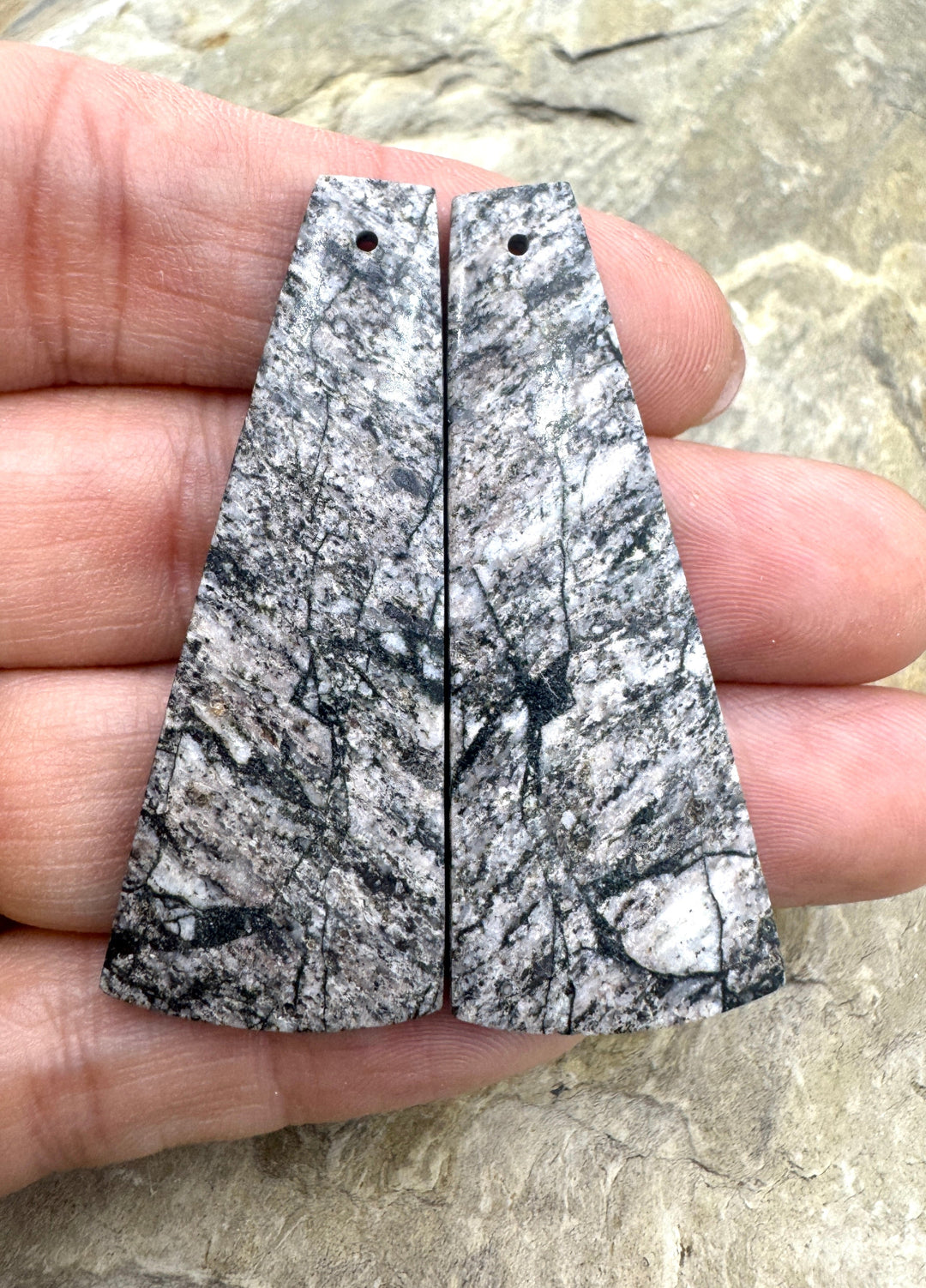 RARE White Buffalo (Arizona) HUGE Matching Earring Slab