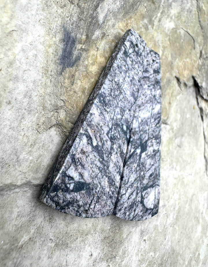 RARE White Buffalo (Arizona) HUGE Matching Earring Slab
