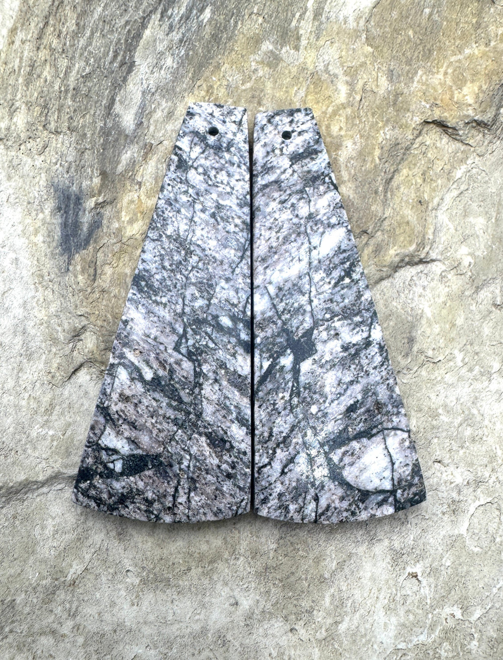 RARE White Buffalo (Arizona) HUGE Matching Earring Slab
