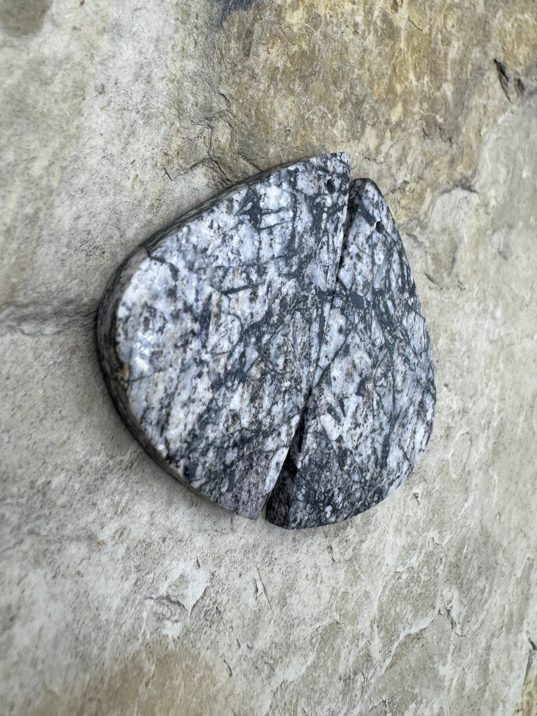 RARE White Buffalo (Arizona) Matching Earring Slab Bead