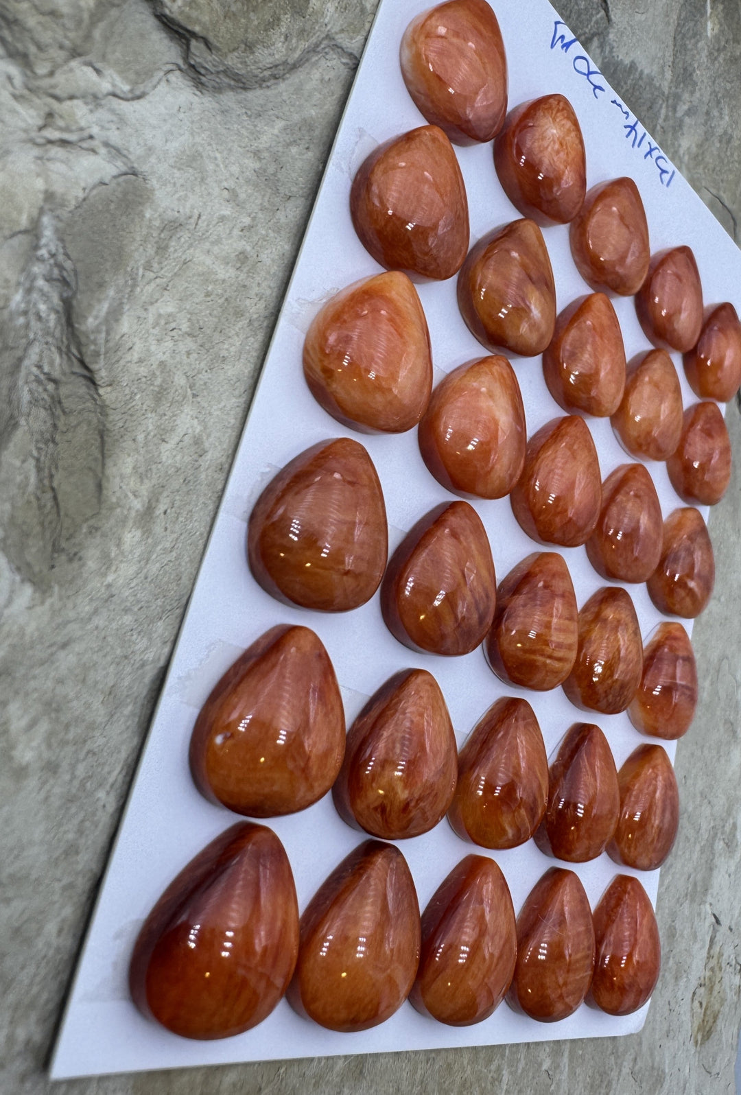 Red/Rust Spiny Oyster 13x14mm Teardrop Shaped Cabochons