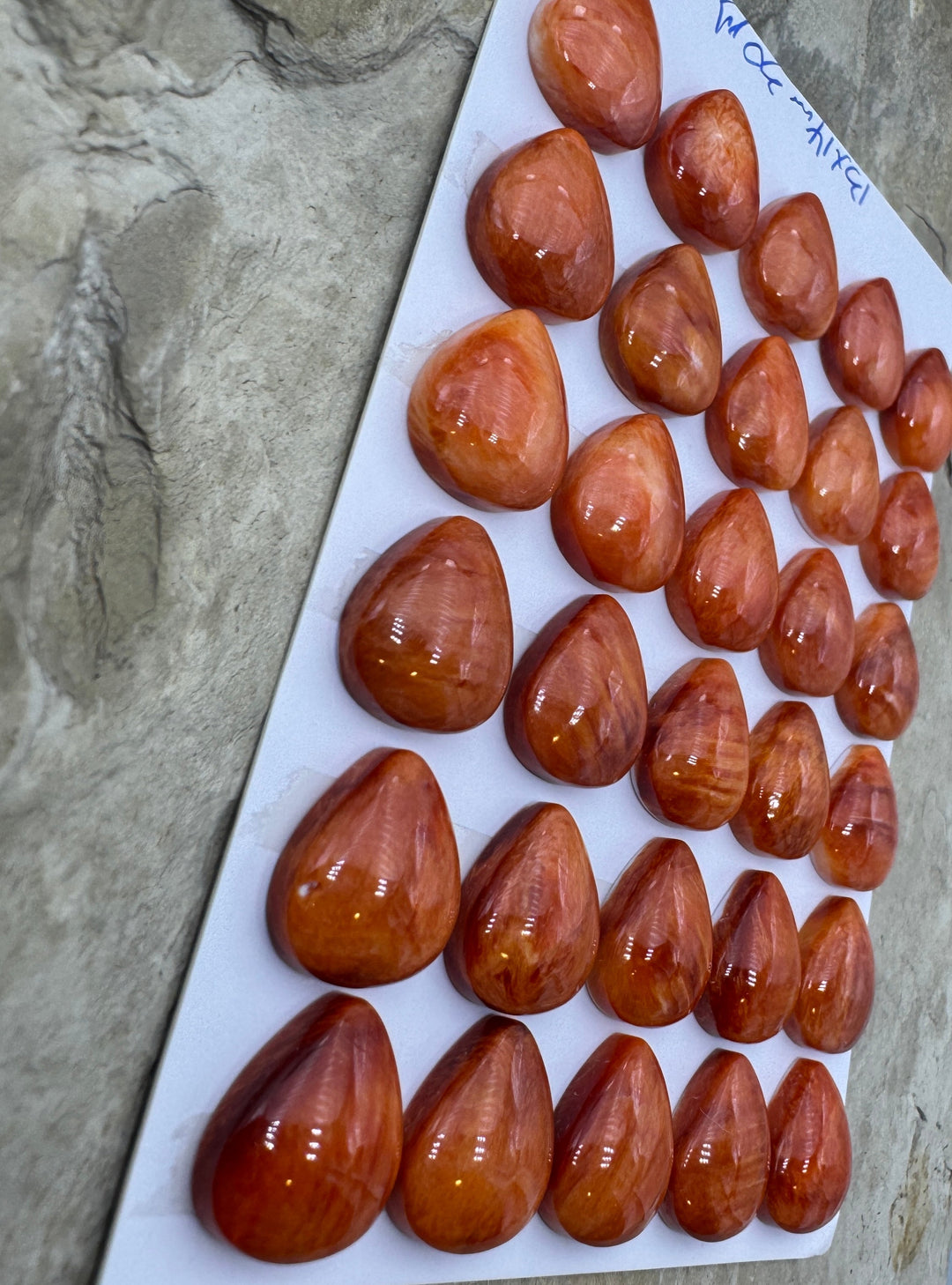 Red/Rust Spiny Oyster 13x14mm Teardrop Shaped Cabochons