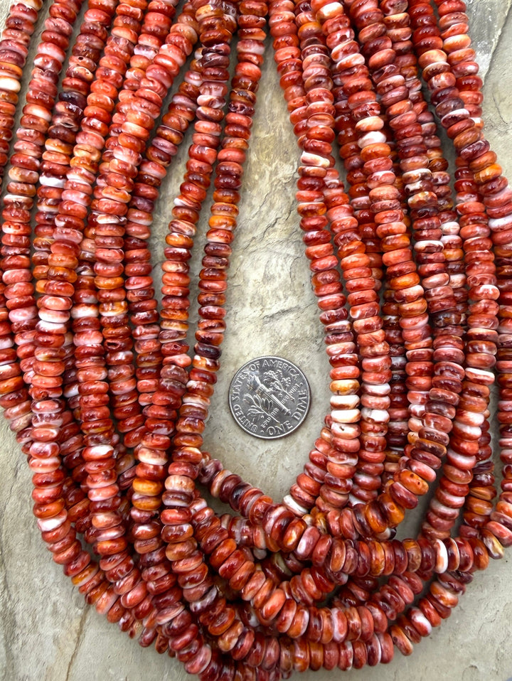 Red Spiny Oyster 6mm Button Beads One 16 Inch Strand