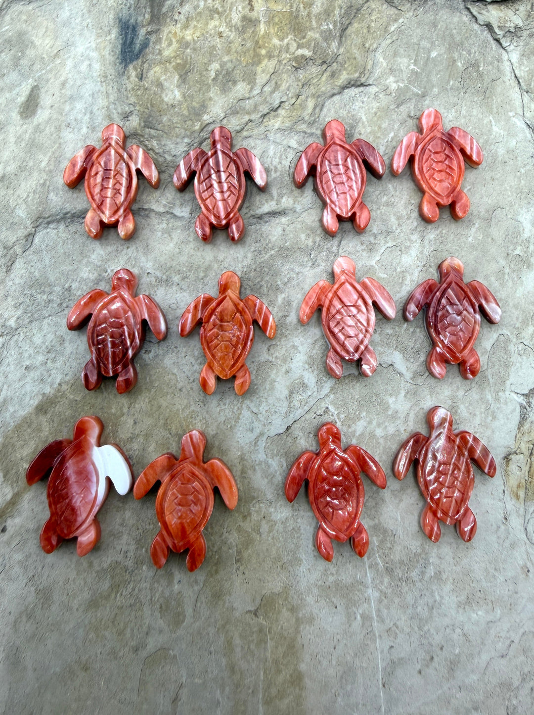 Red Spiny Oyster Shell Carved Turtle Beads 15x20mm Package