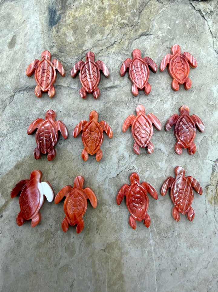 Red Spiny Oyster Shell Carved Turtle Beads 15x20mm Package