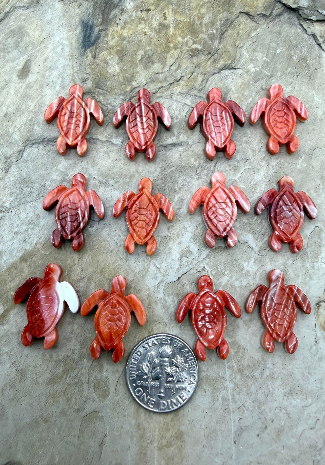 Red Spiny Oyster Shell Carved Turtle Beads 15x20mm Package