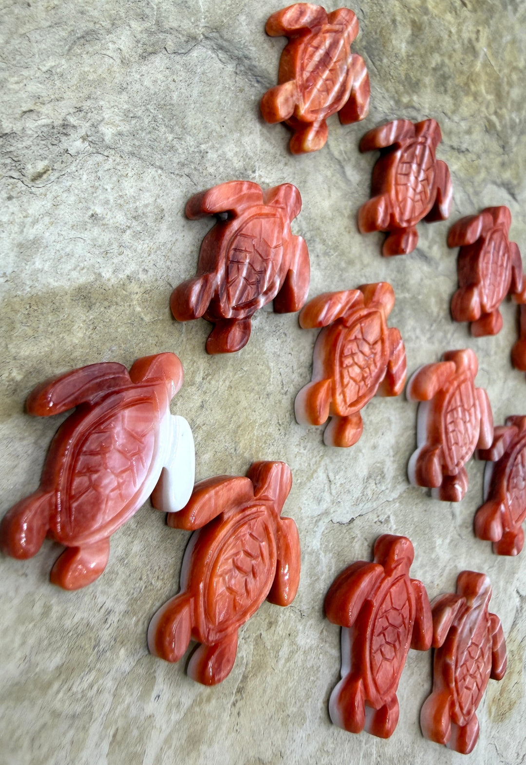 Red Spiny Oyster Shell Carved Turtle Beads 15x20mm Package