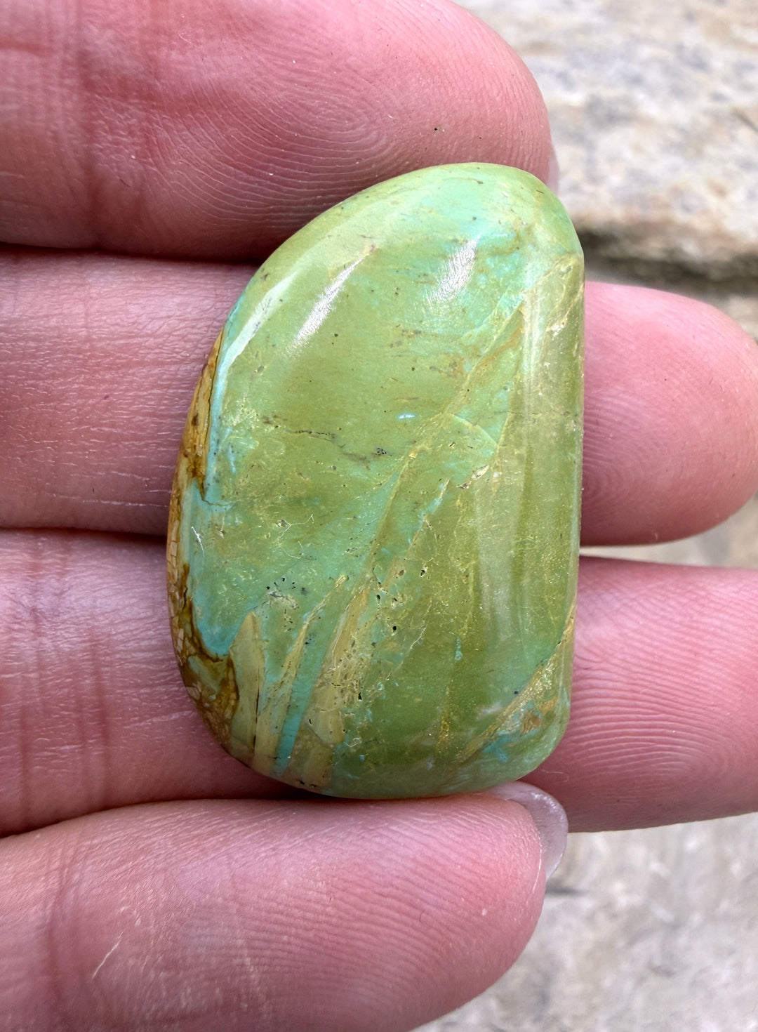 Royston Turquoise (NV) Freeform Cabochon 19x30mm