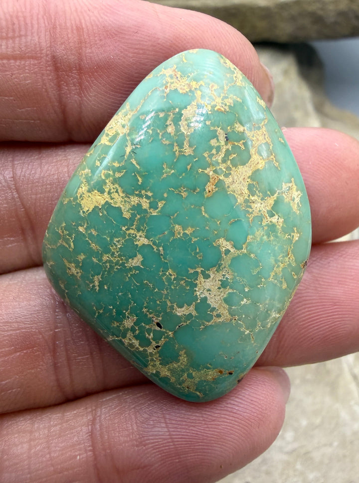 Royston Turquoise (NV) Freeform Cabochon 30x38x8mm