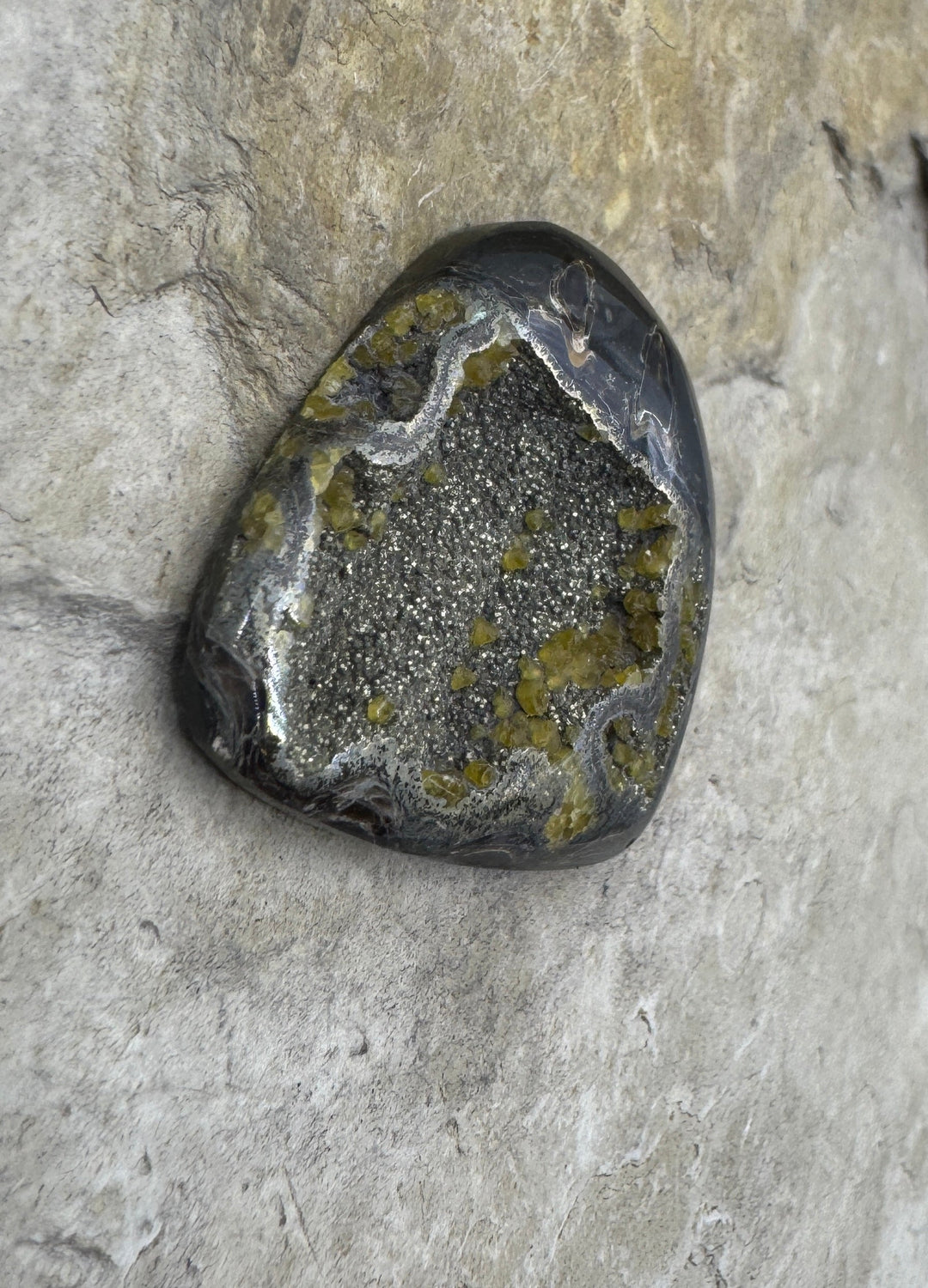 Simbercite/Pyrite Ammonite (Russia) Freeform Designer