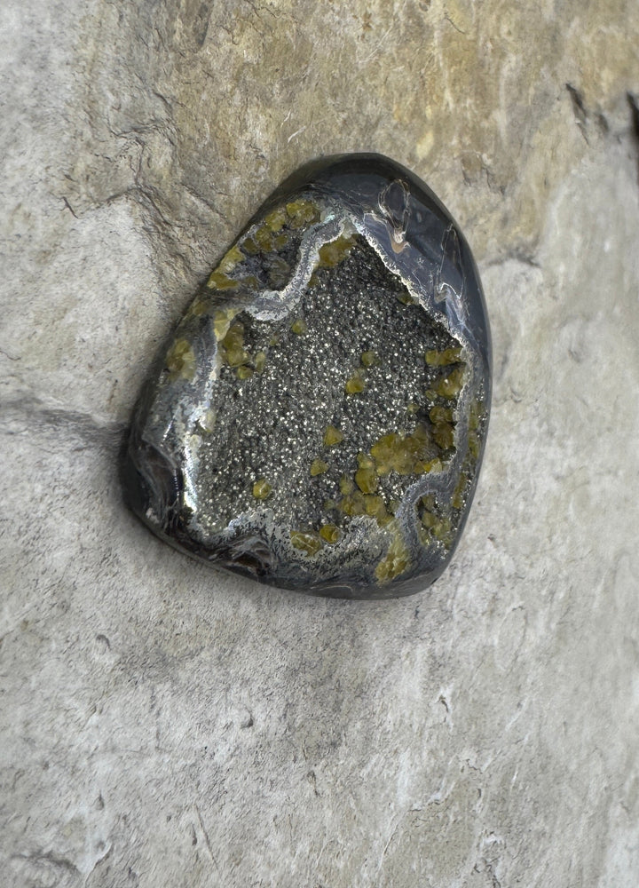Simbercite/Pyrite Ammonite (Russia) Freeform Designer