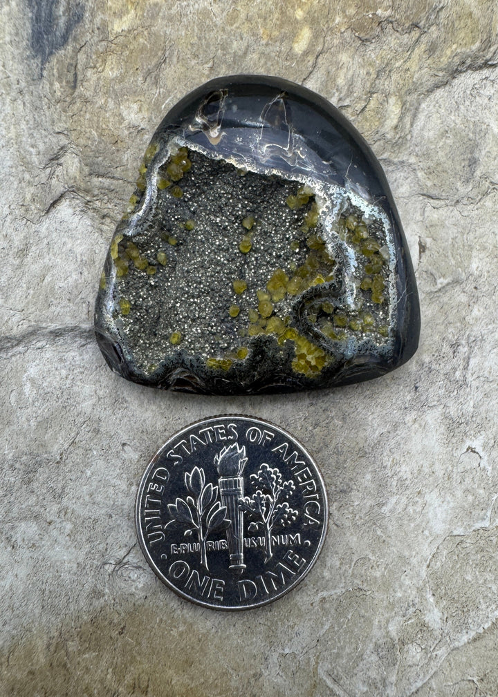 Simbercite/Pyrite Ammonite (Russia) Freeform Designer