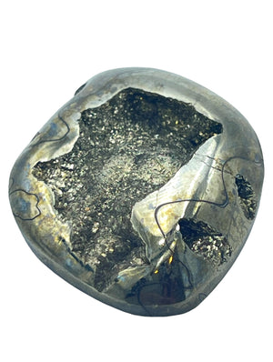 Simbercite/Pyrite Ammonite (Russia) Freeform Designer